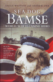 Bamse Book