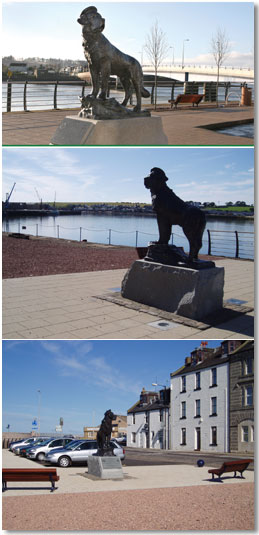 Finished site of bamse statue